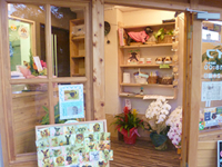 トリミングの様子