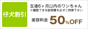 仔犬割引:生後6ヶ月以内のワンちゃん美容料金50％OFF