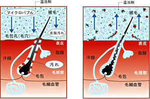 マイクロバブルの図解